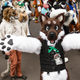 A march during the 2016 Eurofurence furries gathering in Berlin (Photo: Carsten Koall/Stringer/Getty Images)
